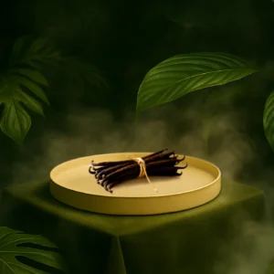 Gourmet Vanilla Maya Small Box