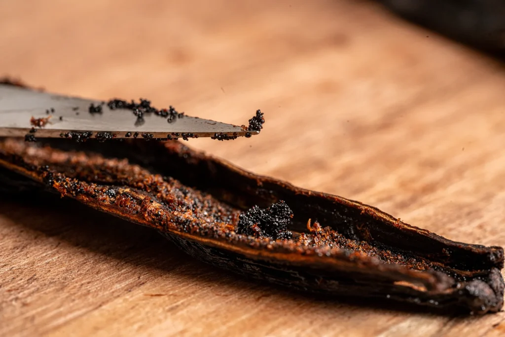 Vanilla-maya-calicova-uk