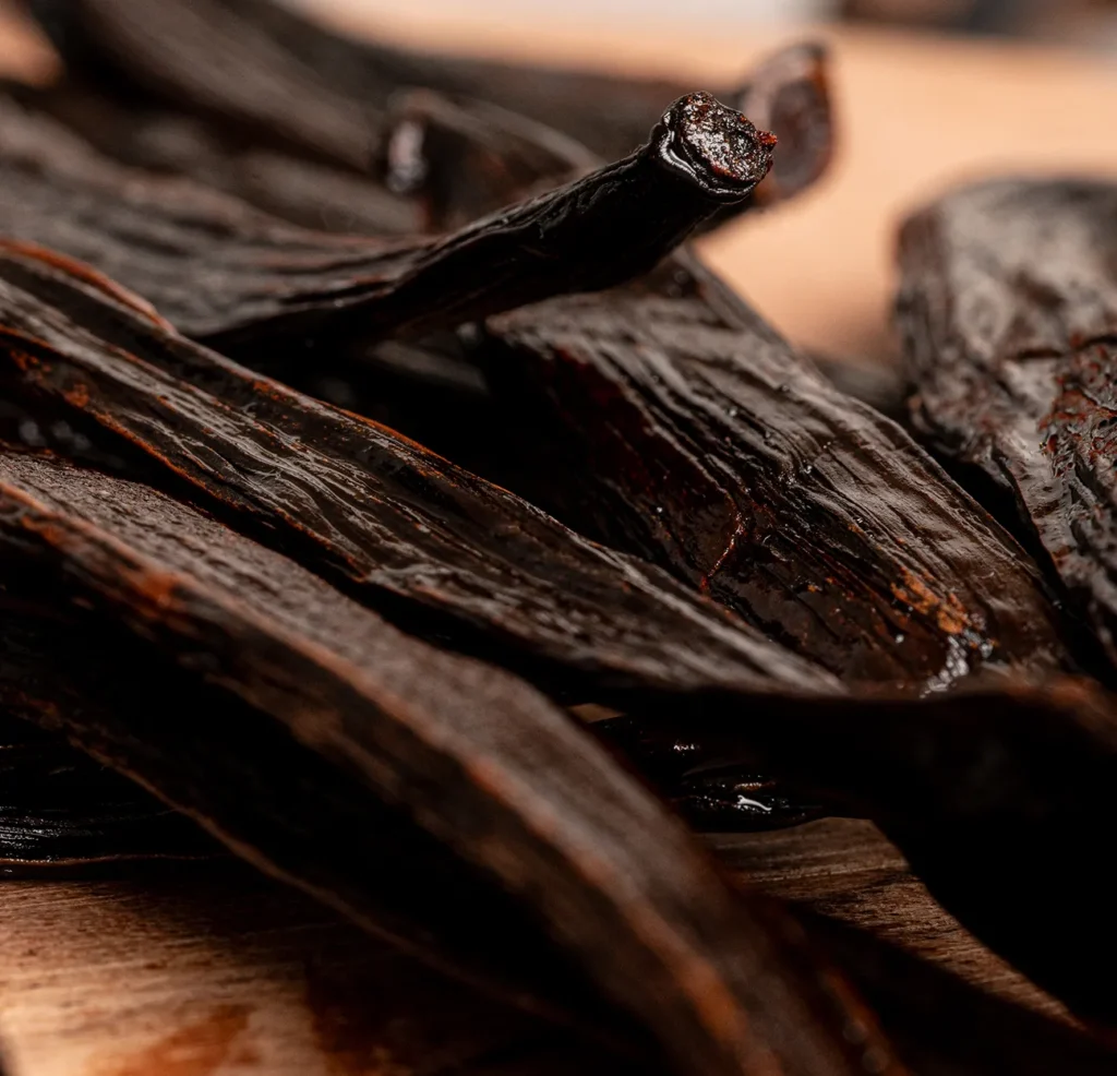 vanilla-pods-calicova-guatemala